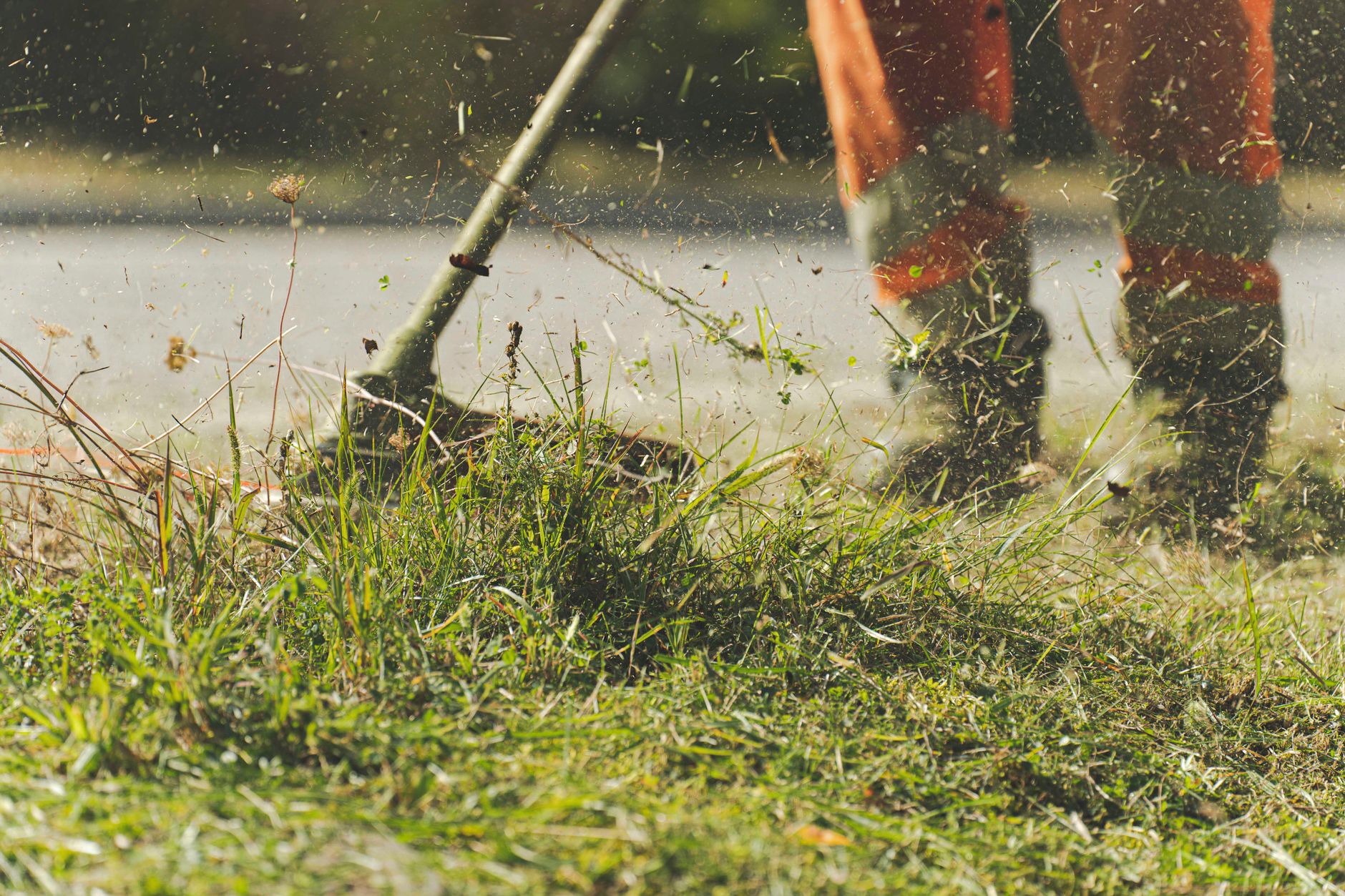A Garden For You, landscaper services covering Ryde Landscaper services in Ryde, A Garden For You