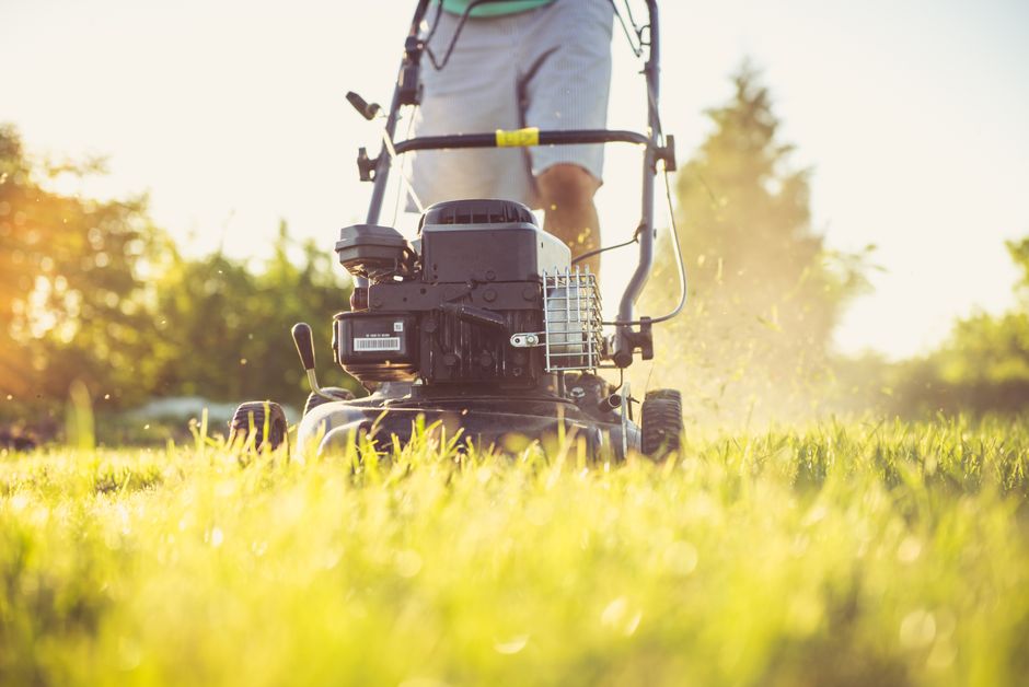 A Garden For You, landscaper services covering Ryde General Garden Maintenance in Ryde