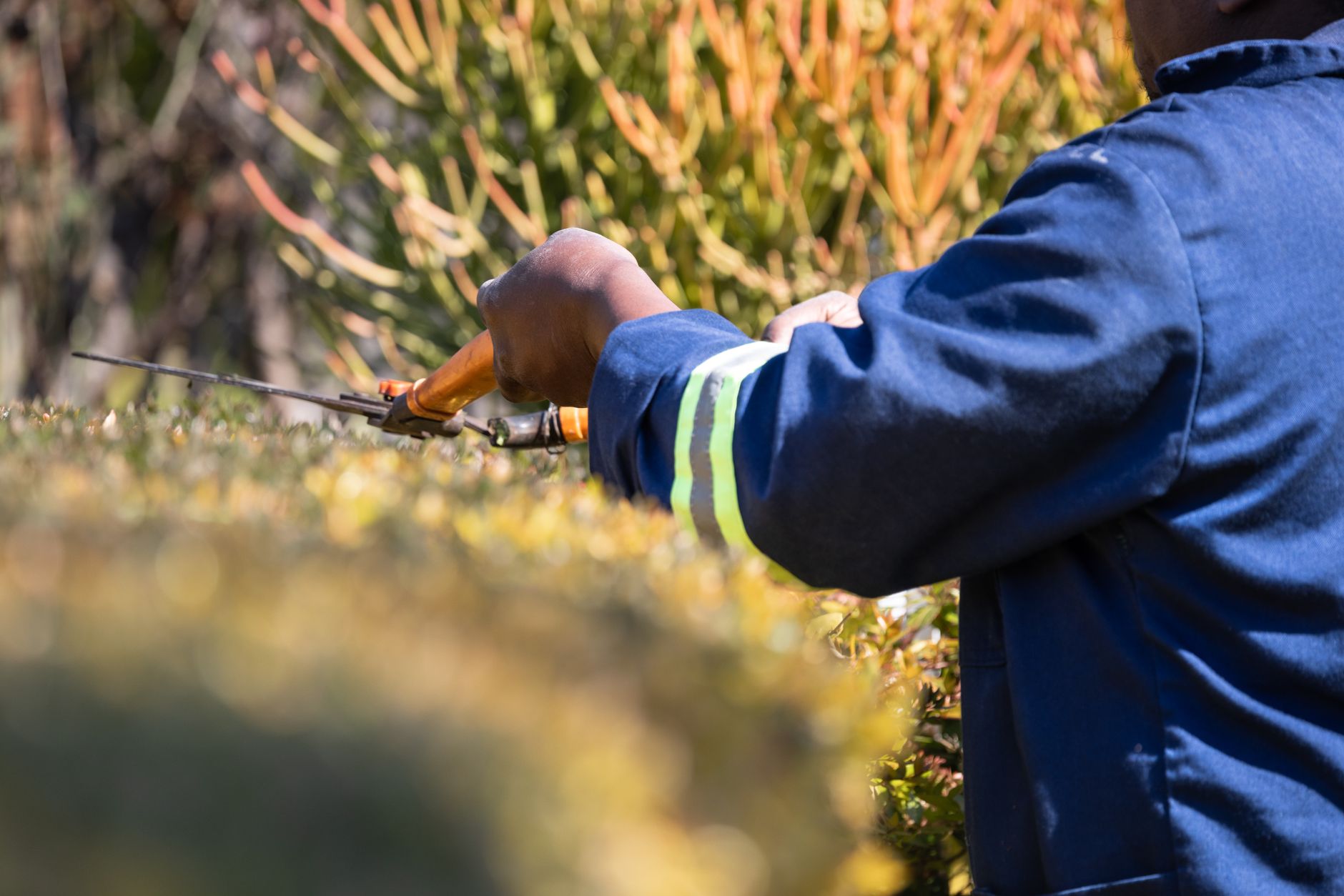 A Garden For You, landscaper services covering Seaview Landscaper services in Seaview, A Garden For You