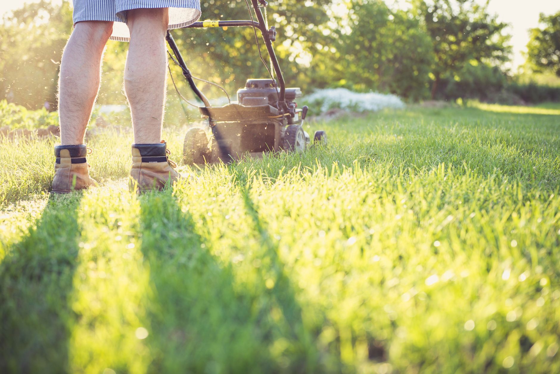 A Garden For You, landscaper services covering Wootton Landscaper services in Wootton, A Garden For You