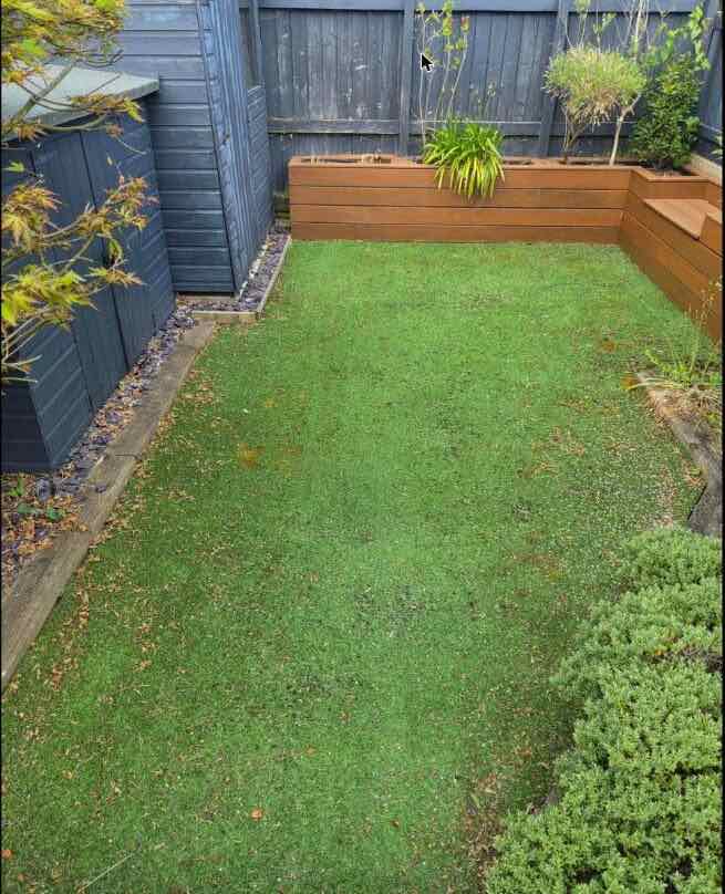 Freshly mown small garden lawn beside a timber shed and raised bed