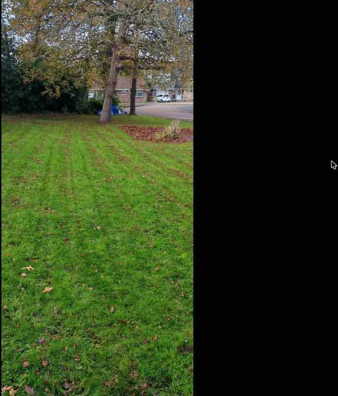 Freshly mown stripes across a large open garden lawn