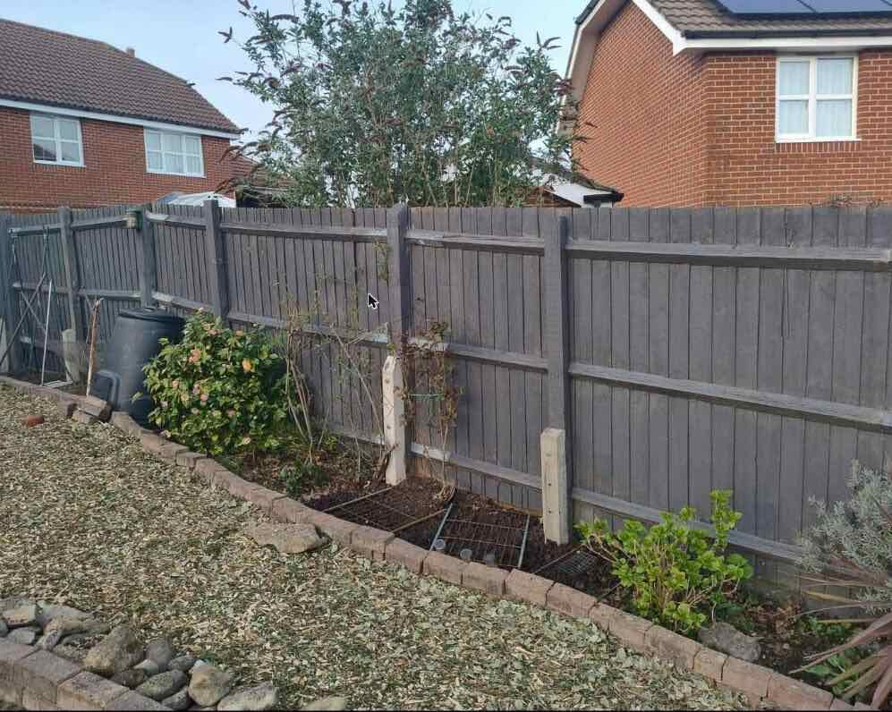 Neatly cleared garden bed along a fence line with young planting
