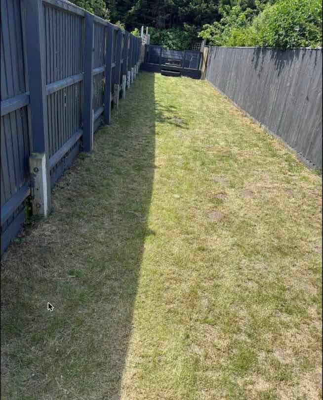 Freshly mown side garden lawn along a wooden fence