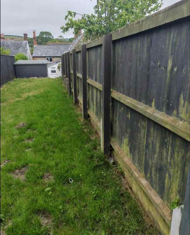 Mown lawn strip beside a tall garden fence